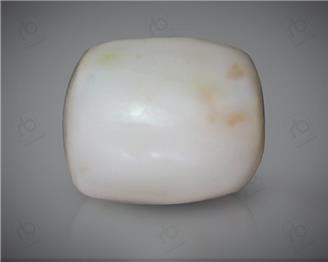 Natural White Coral ( Safed Moonga) Certified  14.04 CTS. ( 91482 )